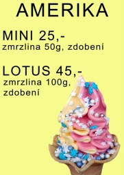 amerika LOTUS MINI 2025